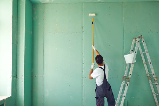 Best Basement Mold Removal  in Throop, PA